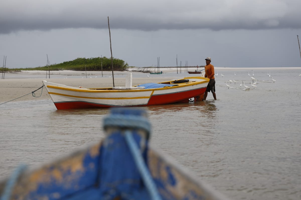 Event brings together authorities, researchers, and civil society to develop the Regional Catfish Conservation Plan