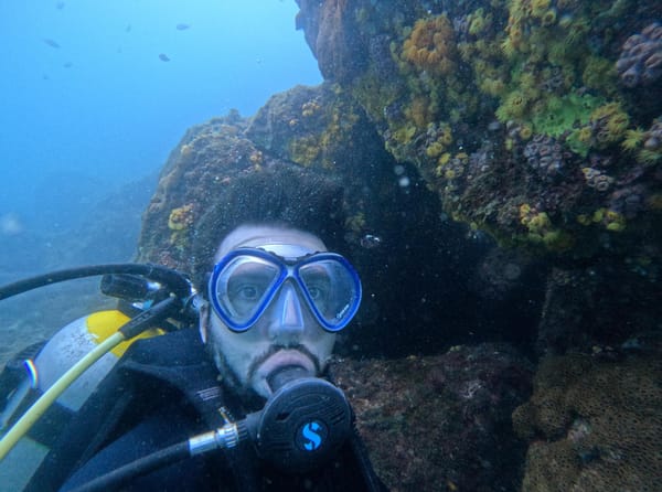 #01 Sun coral: understand the problem caused by an invasive species on the Brazilian coast