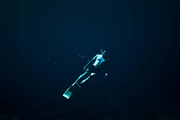 #01 Ocean Report: atualizações de legislação oceânica e letramento sobre questões marinhas