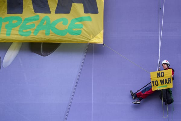 A natureza também paga o preço da guerra