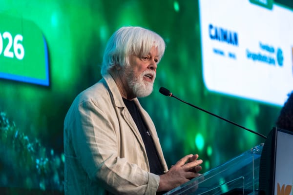 Sem fiscalização, Tratado do Alto-Mar é 'apenas um pedaço de papel', diz Paul Watson