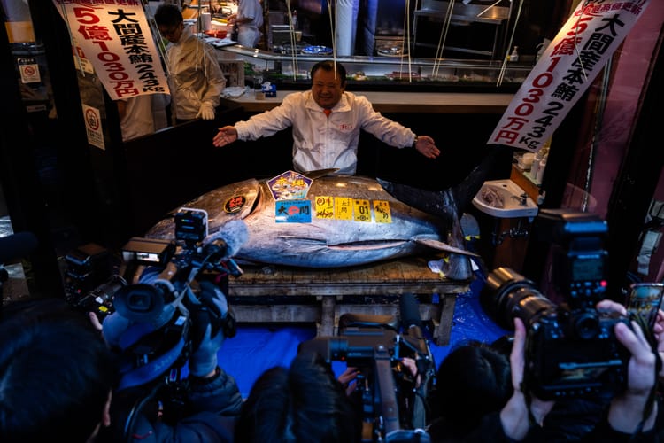 Atum 'bluefin' é vendido por recorde de US$ 3,2 milhões em leilão de abertura de 2026 no mercado de peixes de Tóquio