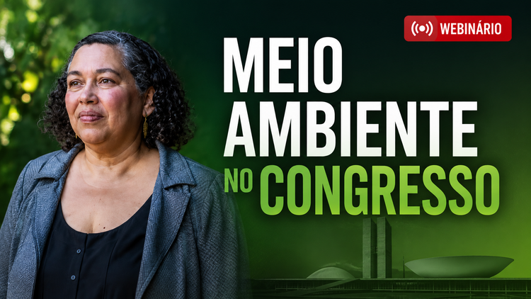 É hoje: assista ao webinário sobre a agenda legislativa ambiental, com Suely Araújo