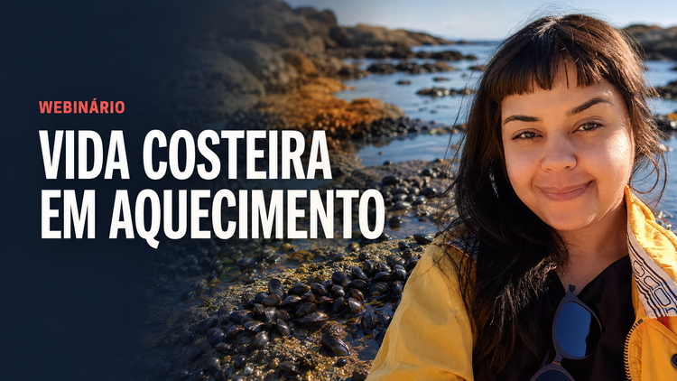 [Hoje, às 19h30]: assista ao webinário 'Como mexilhões e outros organismos costeiros respondem ao calor'
