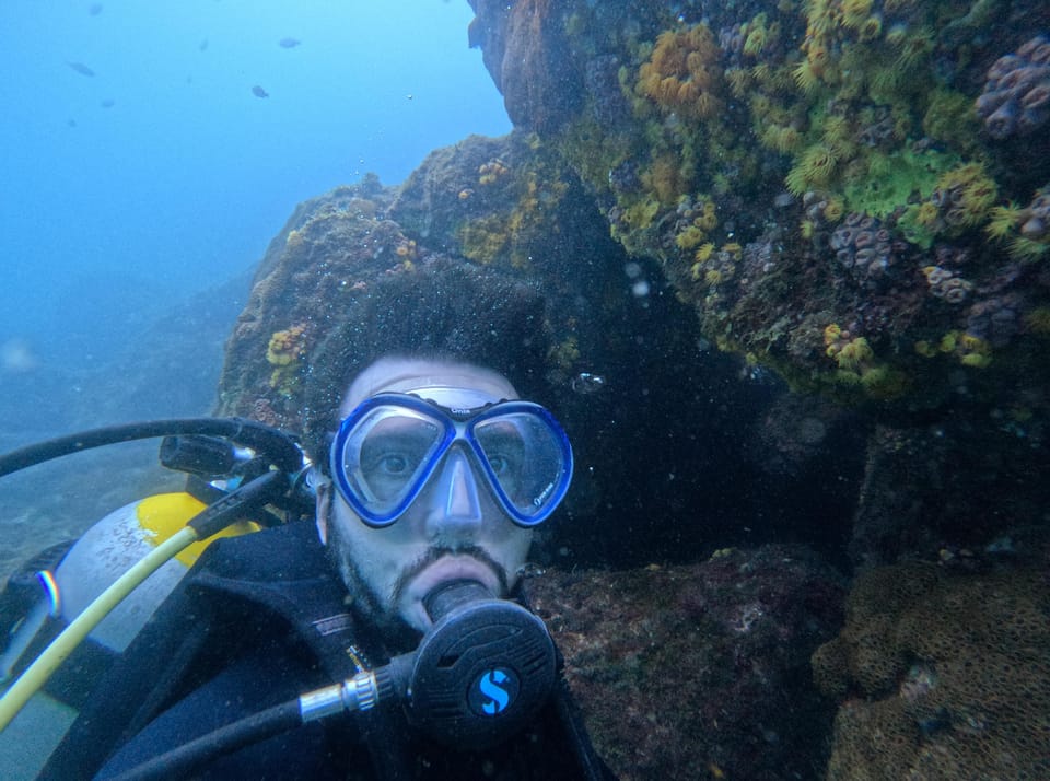 #01 Sun coral: understand the problem caused by an invasive species on the Brazilian coast