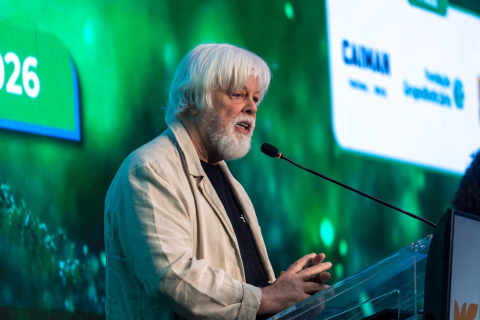 Sem fiscalização, Tratado do Alto-Mar é 'apenas um pedaço de papel', diz Paul Watson