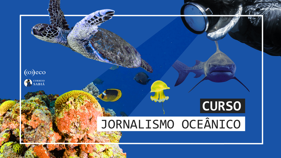 Inscreva-se no 1º curso de Jornalismo Oceânico do Brasil
