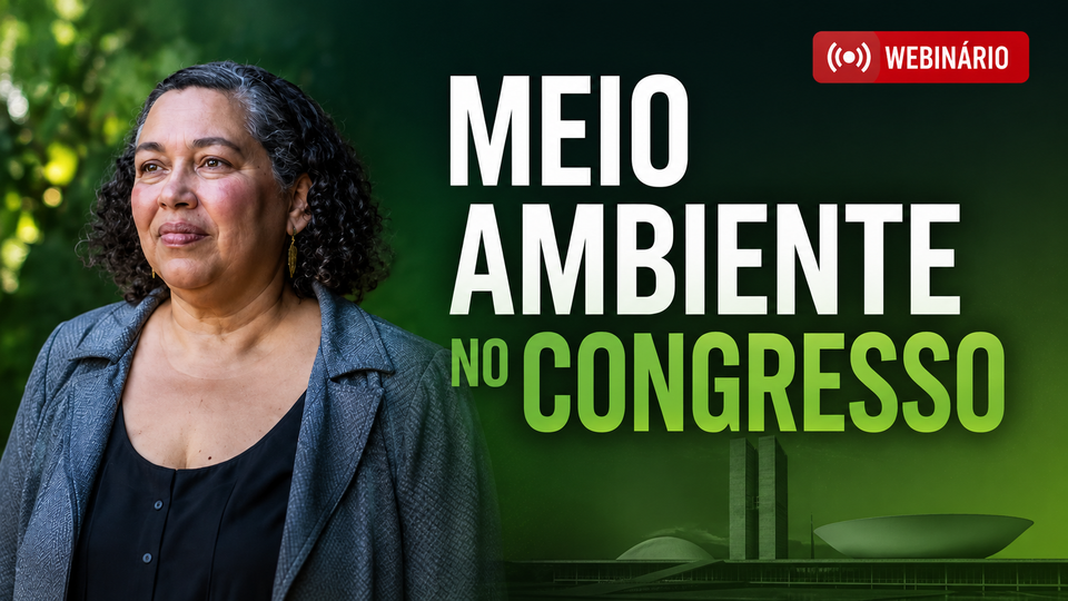 É hoje: assista ao webinário sobre a agenda legislativa ambiental, com Suely Araújo